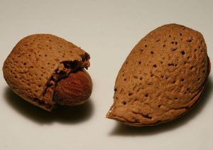Milchalternativen