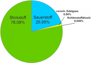 Stickstoffkreislauf